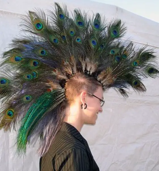 Peacock Mohawk Funny Haircut