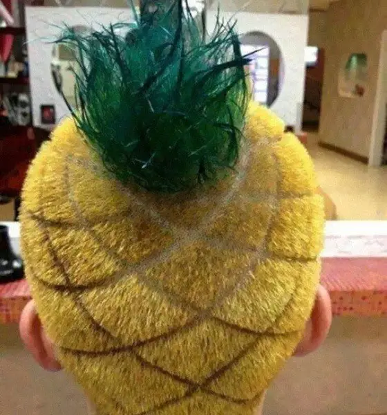 Pineapple Funny Haircut