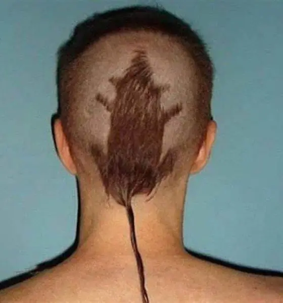 Rat Funny Haircut