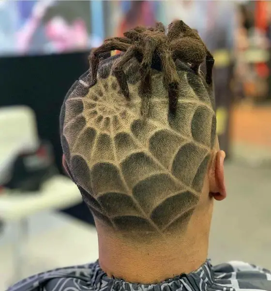 Spider Funny Haircut