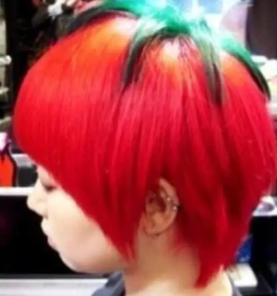 Tomato Funny Haircut