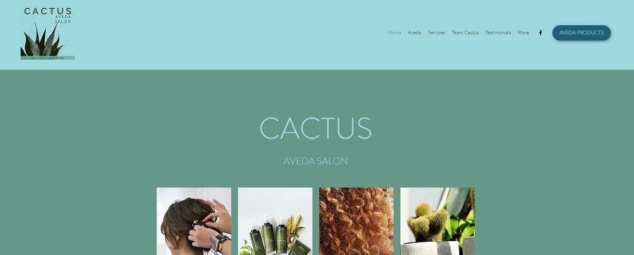 Cactus Aveda Salon