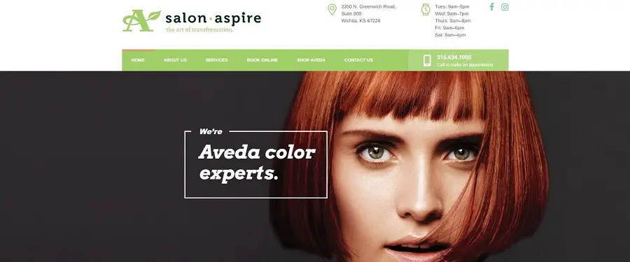 Salon Aspire